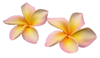 sticker_9147000_22071859