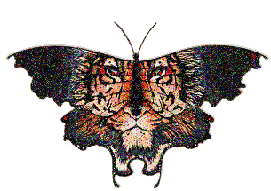 sticker_791853_9301685
