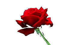 sticker_24816906_34988642