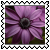 sticker_11561100_22894417