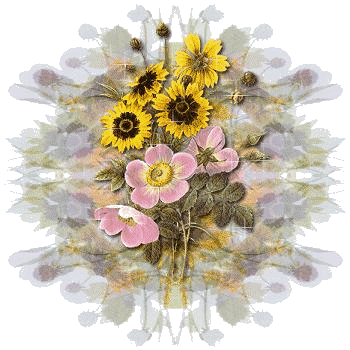 sticker_3433260_6935602