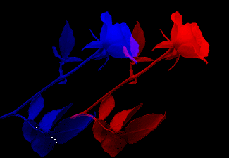 sticker_12072358_21446202