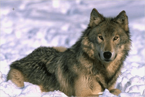 sticker_24026297_38148628