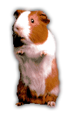 sticker_15684241_20180781