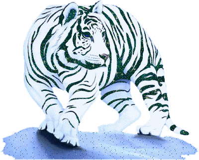 sticker_808475_22223055