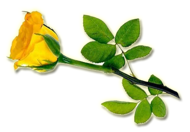 sticker_21068923_35367168