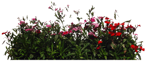 sticker_23663428_33616192