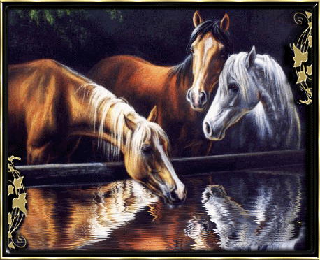sticker_10742417_21054911