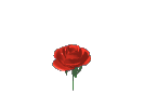 sticker_15799972_35947757