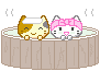 sticker_749237_24797027