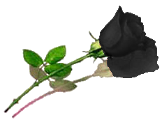 sticker_17566815_40472785