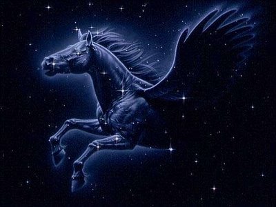 sticker_21648726_41508086