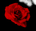 sticker_11654702_21075833