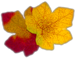 sticker_18828558_40356042