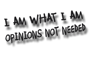 sticker_7241997_40732959