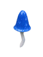 sticker_24190222_35876922