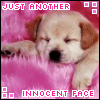 sticker_1590728_12464929