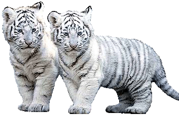 sticker_752172_1878561