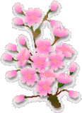 sticker_2198864_2946394