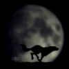 sticker_656720_492135