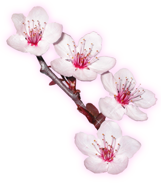 sticker_31465382_43790997