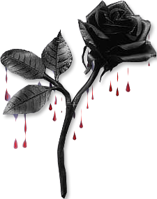 sticker_10509619_13331373