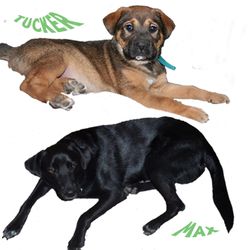 sticker_11175995_29321858