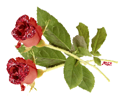 sticker_9147000_29933202