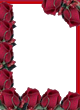 sticker_19300287_31430492
