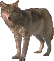 sticker_13704154_17301343