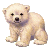 sticker_11549544_30466135