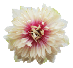 sticker_14467058_18482022