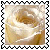 sticker_16908359_36236361