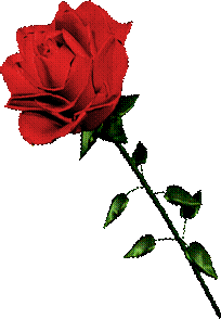 sticker_25224432_40002891