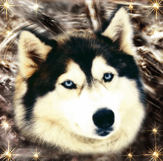 sticker_17606696_27903051