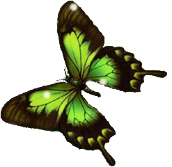 sticker_18363624_31563991
