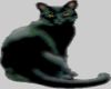 sticker_15756557_22361831