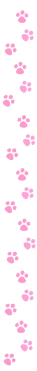 sticker_28042473_43049404
