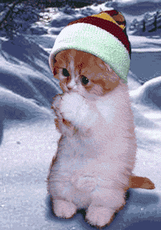 sticker_4786881_24794203