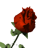 sticker_18824109_34525526