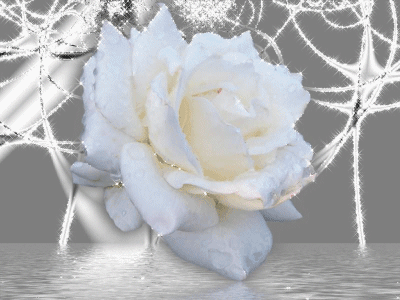 sticker_10391757_14512520