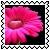 sticker_20081470_28752668