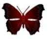 sticker_24128704_34457935