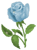 sticker_11590325_31677108