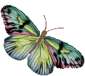 sticker_6469273_17435855