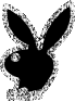 sticker_28636502_38835208