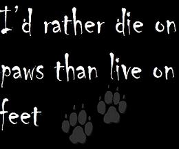 sticker_25228327_42573209