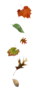 sticker_15713746_41031618