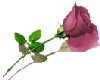 sticker_2342966_2749138