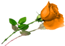 sticker_12303920_28534588